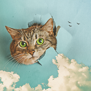 成人做爰黄✌片视频
