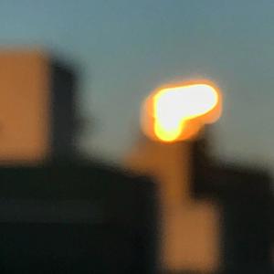 成人做爰黄✌片视频
