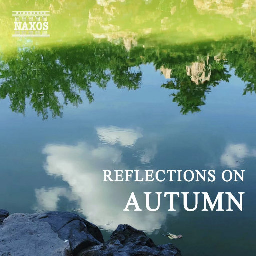 成人做爰黄✌片视频
